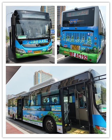 �����������¾�����˹��