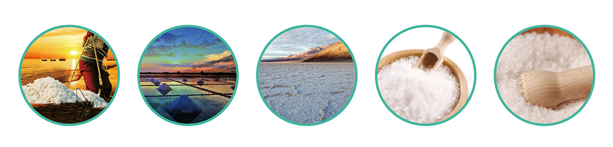 澳门新葡萄新京威尼斯黄